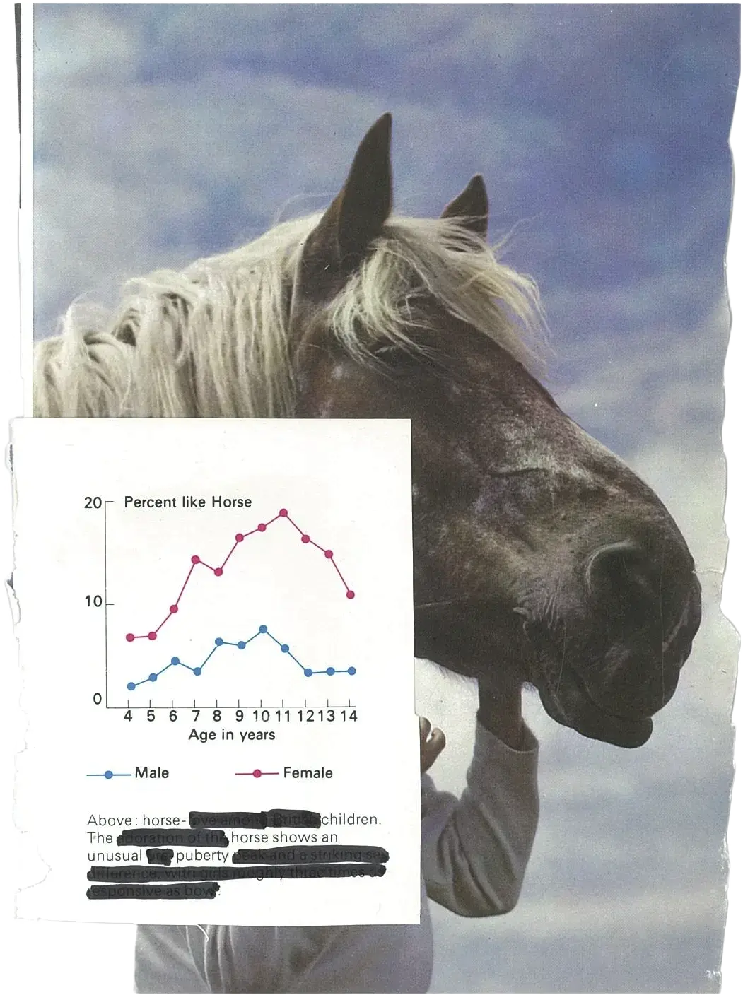 A line graph of male and female "Percent like Horse" against age is pasted over an image of a horse's head and a human's body, obscuring where they meet so they look like they could be one creature. Some of the graph's caption is blacked out. The remaining text reads "Percent like Horse. Age in years. Male. Female. Above horse-children.The horse shows an unusual puberty.